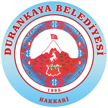 Organizasyon Şeması